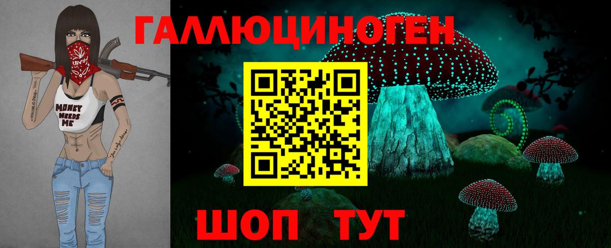 сколько стоит  Псилоцибиновые грибы MAGIC MUSHROOMS  Сланцы  Вход с VPN  Псилоцибиновые грибы Magic Shrooms 