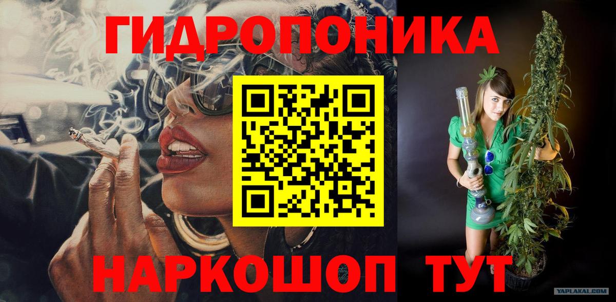МАРИХУАНА планчик Сланцы